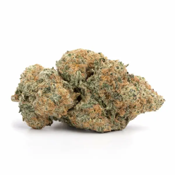 Florida Sundae Hybrid Flower, La Florista Cannabis, Florida Sundae strain, hybrid flower, premium cannabis flower, Florida Sundae effects, buy Florida Sundae online, cannabis for relaxation and mood boost, La Florista Cannabis dispensary, Florida Sundae flavor profile, high-THC hybrid, fruity and earthy cannabis, Florida Sundae characteristics, top-shelf hybrid flower, La Florista Cannabis products, cannabis strain for creativity, Florida Sundae aroma, best hybrid strains, Florida Sundae reviews, popular hybrid cannabis.