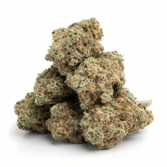 Girl Scout Cookies, La Florista Cannabis, GSC strain, cannabis strains, hybrid strain, premium cannabis, Girl Scout Cookies effects, cannabis for relaxation, La Florista Cannabis dispensary, GSC flavor profile, high-THC strain, sweet and earthy cannabis, Girl Scout Cookies characteristics, top-shelf cannabis, La Florista Cannabis products, cannabis strain for appetite stimulation, GSC aroma, best strains for stress relief, Girl Scout Cookies reviews, popular cannabis strains.