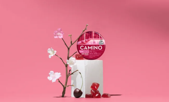 Camino Wild Cherry 'Excite' Gummies, Camino Wild Cherry Gummies, Kiva Camino Excite Gummies, Camino Wild Cherry 5mg THC, Camino Gummies for Energy, Camino Wild Cherry Gummies Review, Wild Cherry THC Gummies, Wild Cherry Excite Gummies Effects, Camino Gummies Dosage, Buy Camino Wild Cherry Gummies, Kiva Camino Gummies, Camino Wild Cherry Reviews, Camino Excite Edibles, Camino Gummies for Excitement, LA Florista Cannabis, LA Florista Dispensary, Buy LA Florista Products, LA Florista Edibles, LA Florista Cannabis Gummies, LA Florista Deals, LA Florista California, Best LA Florista Products, LA Florista Strains, LA Florista Reviews, Cannabis Gummies, THC Gummies, CBD Edibles, Best Cannabis Gummies, Buy Cannabis Online, Cannabis Dispensary Near Me, Recreational Cannabis, Medical Marijuana Products, THC Edibles, CBD Gummies