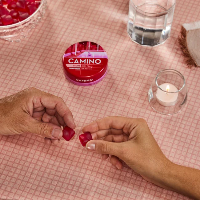 Camino Wild Cherry 'Excite' Gummies, Camino Wild Cherry Gummies, Kiva Camino Excite Gummies, Camino Wild Cherry 5mg THC, Camino Gummies for Energy, Camino Wild Cherry Gummies Review, Wild Cherry THC Gummies, Wild Cherry Excite Gummies Effects, Camino Gummies Dosage, Buy Camino Wild Cherry Gummies, Kiva Camino Gummies, Camino Wild Cherry Reviews, Camino Excite Edibles, Camino Gummies for Excitement, LA Florista Cannabis, LA Florista Dispensary, Buy LA Florista Products, LA Florista Edibles, LA Florista Cannabis Gummies, LA Florista Deals, LA Florista California, Best LA Florista Products, LA Florista Strains, LA Florista Reviews, Cannabis Gummies, THC Gummies, CBD Edibles, Best Cannabis Gummies, Buy Cannabis Online, Cannabis Dispensary Near Me, Recreational Cannabis, Medical Marijuana Products, THC Edibles, CBD Gummies