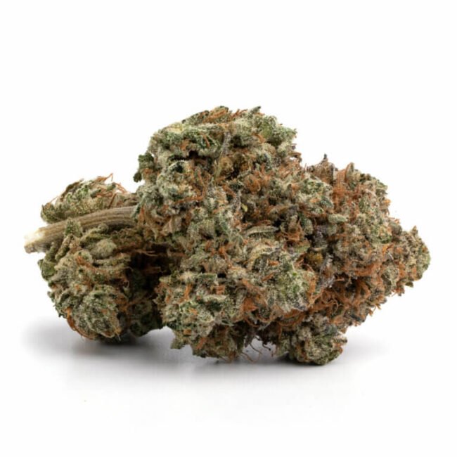 Ghost Train Haze, La Florista Cannabis, Ghost Train Haze strain, cannabis strains, Sativa-dominant, premium cannabis, Ghost Train Haze effects, cannabis for energy and focus, La Florista Cannabis dispensary, Ghost Train Haze flavor profile, high-THC strain, citrus and pine cannabis, Ghost Train Haze characteristics, top-shelf cannabis, La Florista Cannabis products, cannabis strain for creativity, Ghost Train Haze aroma, best strains for daytime use, Ghost Train Haze reviews, potent Sativa strains.