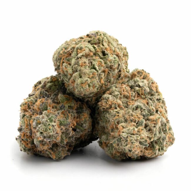 Zkittlez, La Florista Cannabis, Zkittlez strain, cannabis strains, Indica-dominant hybrid, premium cannabis, Zkittlez effects, cannabis for relaxation, La Florista Cannabis dispensary, Zkittlez flavor profile, high-THC strain, fruity and sweet cannabis, Zkittlez characteristics, top-shelf cannabis, La Florista Cannabis products, cannabis strain for stress relief, Zkittlez aroma, best strains for nighttime use, Zkittlez reviews, popular cannabis strains.