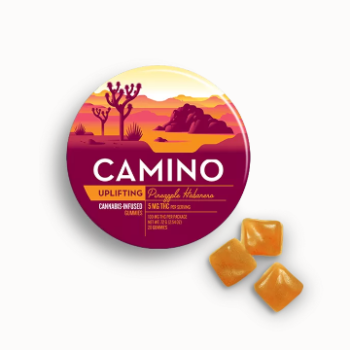 Camino Pineapple Habanero 'Uplifting' Gummies, Camino Pineapple Habanero Gummies, Kiva Camino Uplifting Gummies, Camino Pineapple Habanero 5mg THC, Camino Gummies for Energy, Pineapple Habanero THC Gummies, Camino Uplifting Gummies Review, Pineapple Habanero Cannabis Edibles, Camino Gummies Dosage, Buy Camino Pineapple Habanero Gummies, Kiva Camino Gummies, Camino Pineapple Habanero Reviews, Uplifting THC Gummies, Camino Gummies for Uplifting, LA Florista Cannabis, LA Florista Dispensary, Buy LA Florista Products, LA Florista Edibles, LA Florista Cannabis Gummies, LA Florista Deals, LA Florista California, Best LA Florista Products, LA Florista Strains, LA Florista Reviews, Cannabis Gummies, THC Gummies, CBD Edibles, Best Cannabis Gummies, Buy Cannabis Online, Cannabis Dispensary Near Me, Recreational Cannabis, Medical Marijuana Products, THC Edibles, CBD Gummies